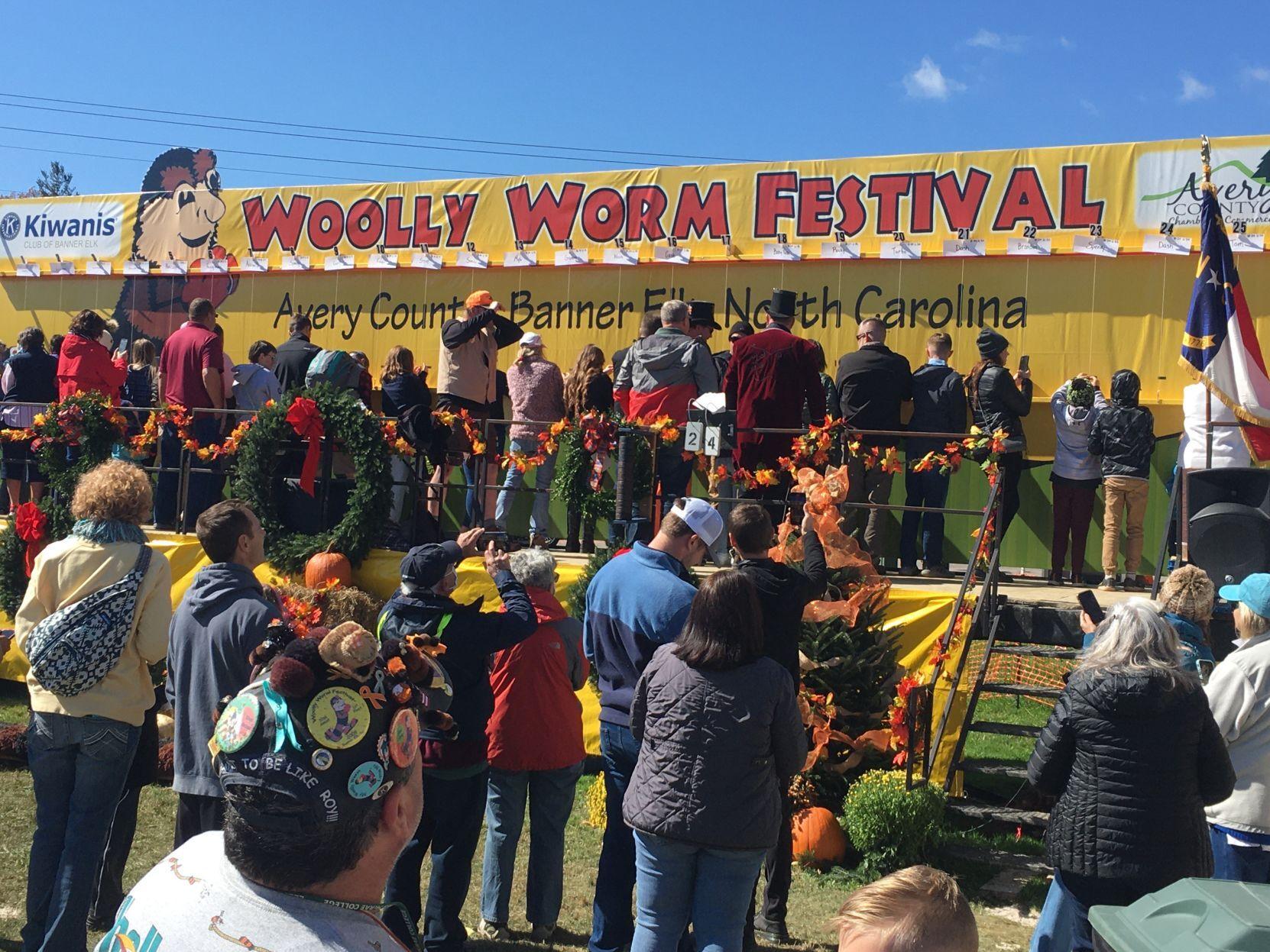 Woolly Worm Festival by the numbers Special Sections
