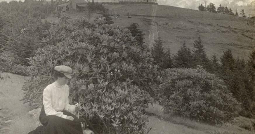 Our Avery County: John T. Wilder and the development of the Southern Appalachians