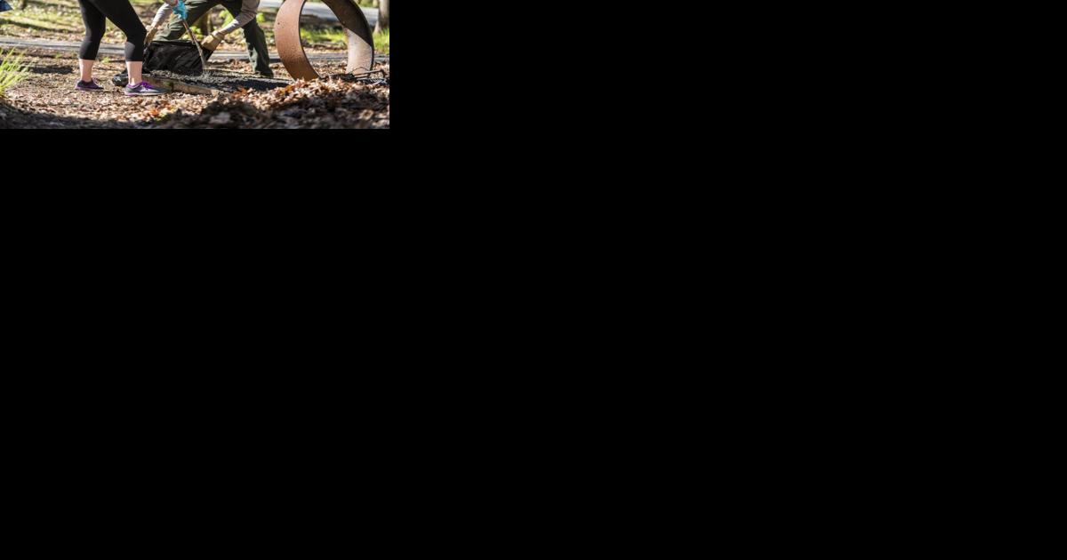 Blue Ridge Parkway recruits 2022 Project Parkway volunteers - Vimarsana News