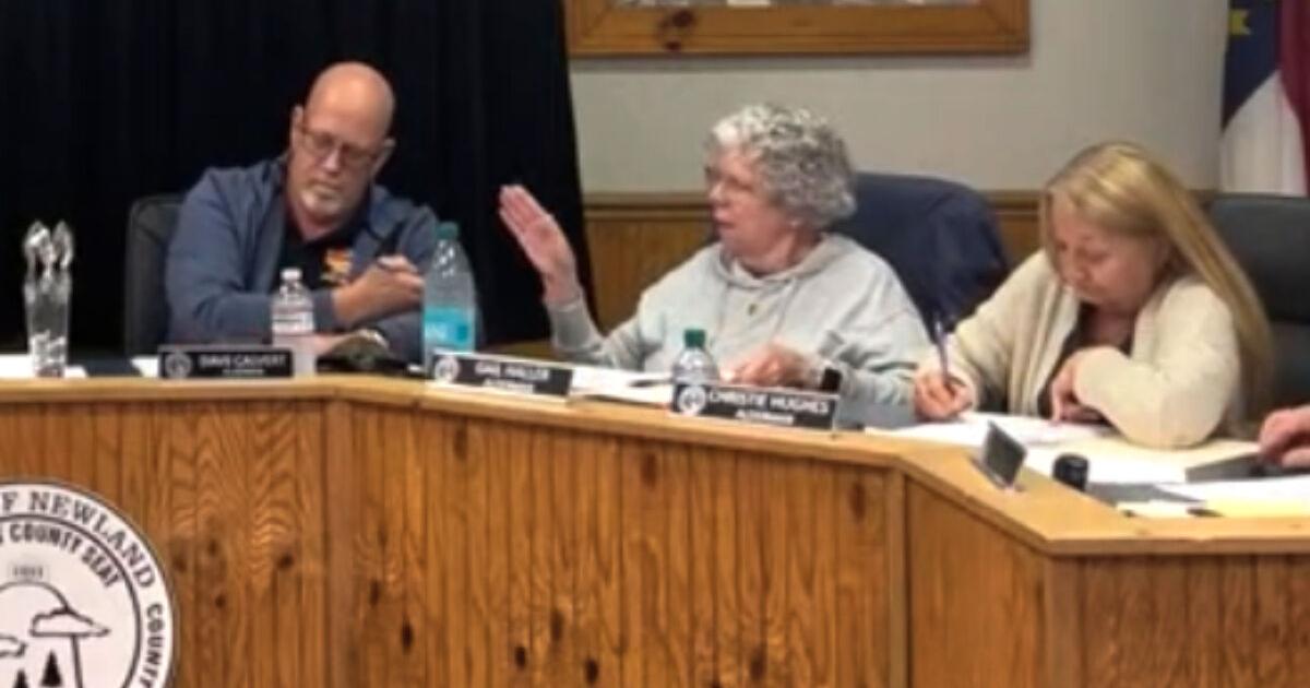 Alderwoman Gail Haller shares a thought during the June Newland Board of Aldermen meeting.jpg