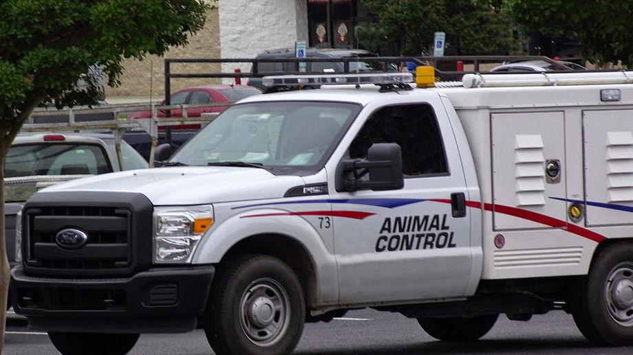 Frankly speaking animal control with Sheriff Kevin Frye Avery