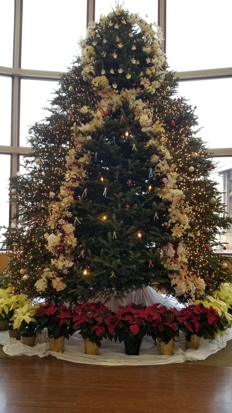 Latest Christmas tree debuts at hospital News