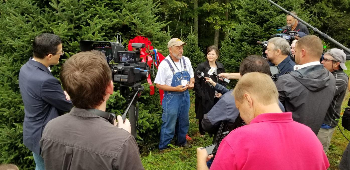 Local Farmer S Tree Selected For White House Avery Averyjournal Com