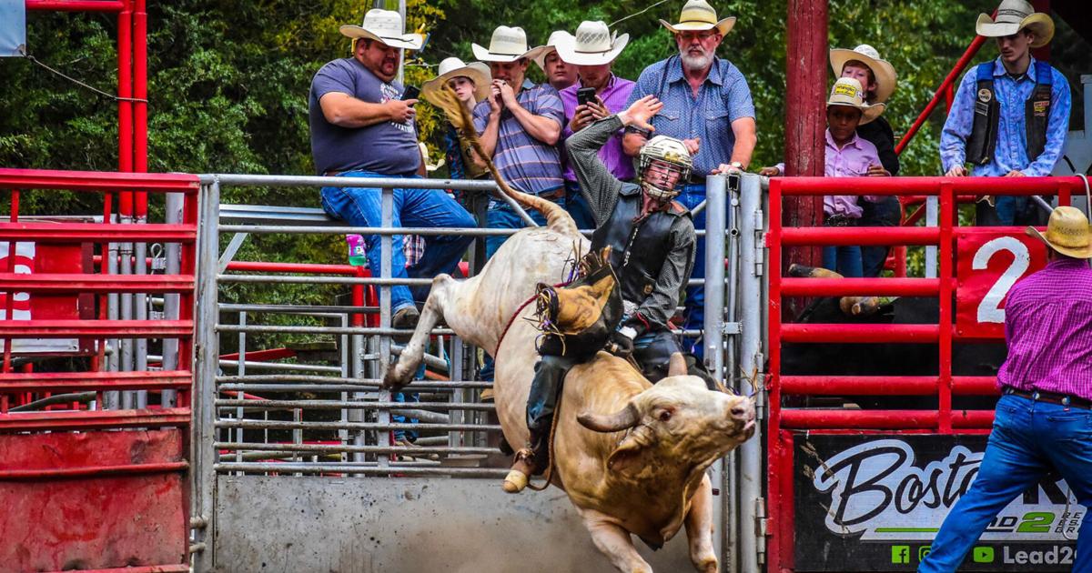Bashore Rodeo Avery County Rodeo Showdown comes to Avery in August | Community ...
