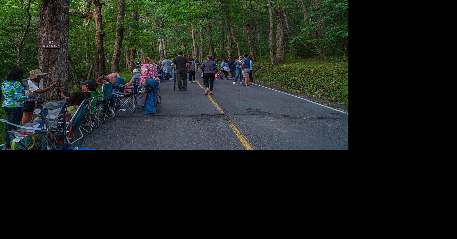 Grandfather Mountain announces Grandfather Glows firefly viewing lottery details
