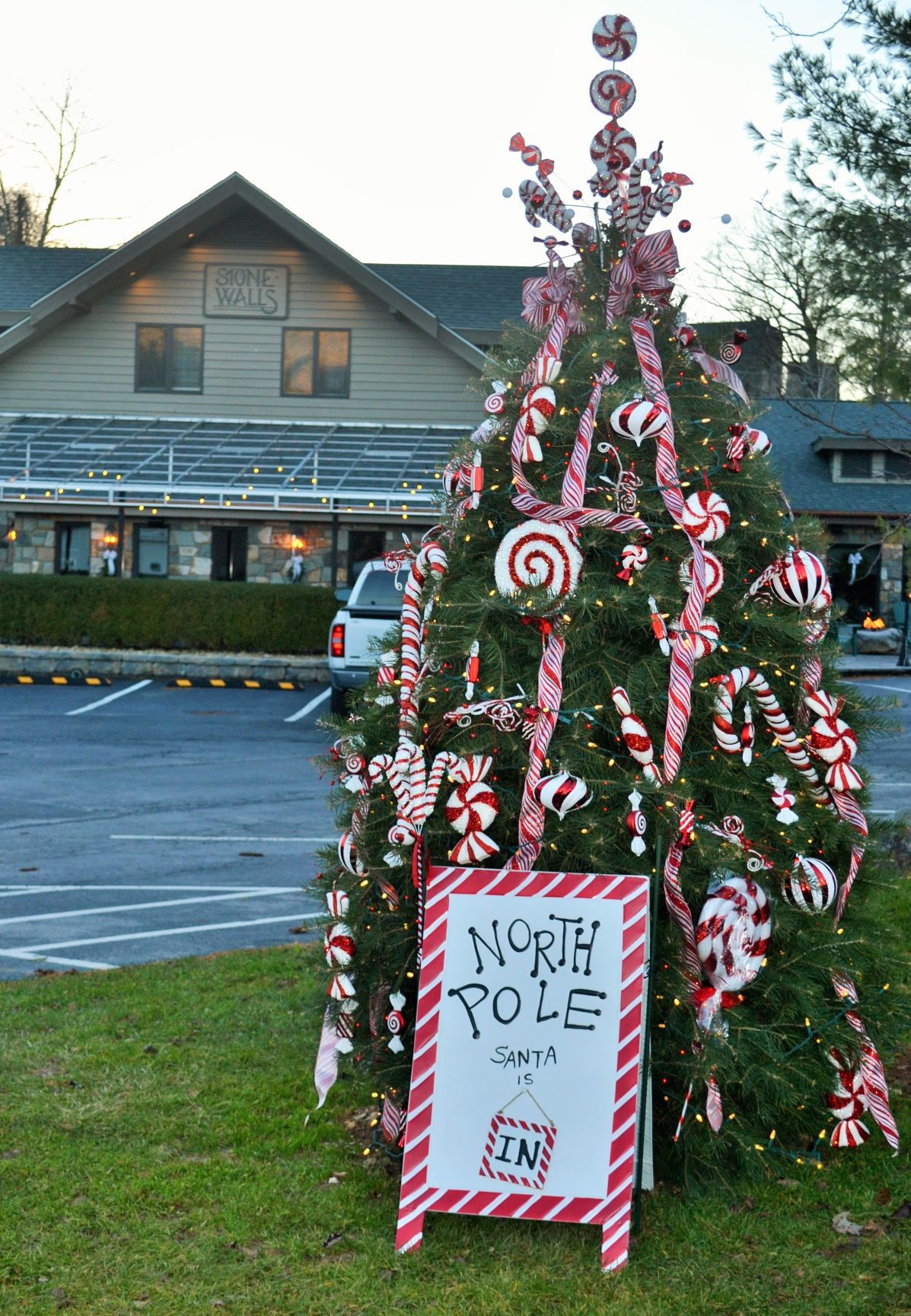 Stonewalls wins Banner Elk Christmas Tree Contest Community