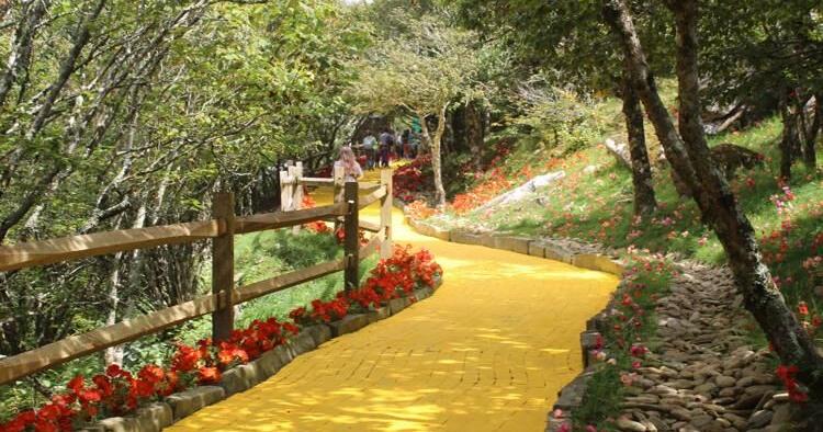 Beech Mountain’s Autumn at Oz draws faithful pilgrims
