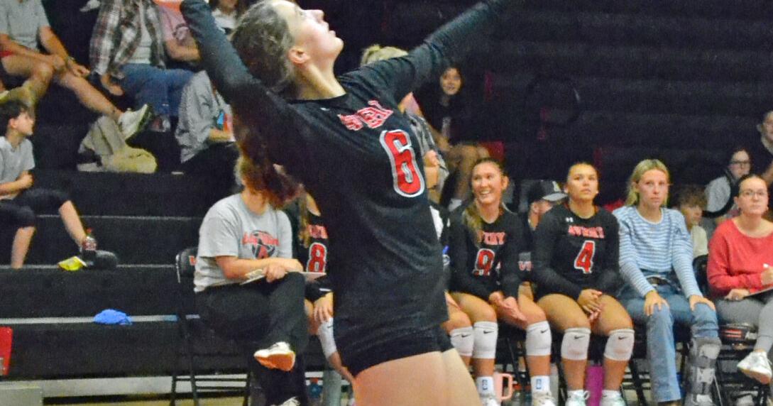 L Turner serves