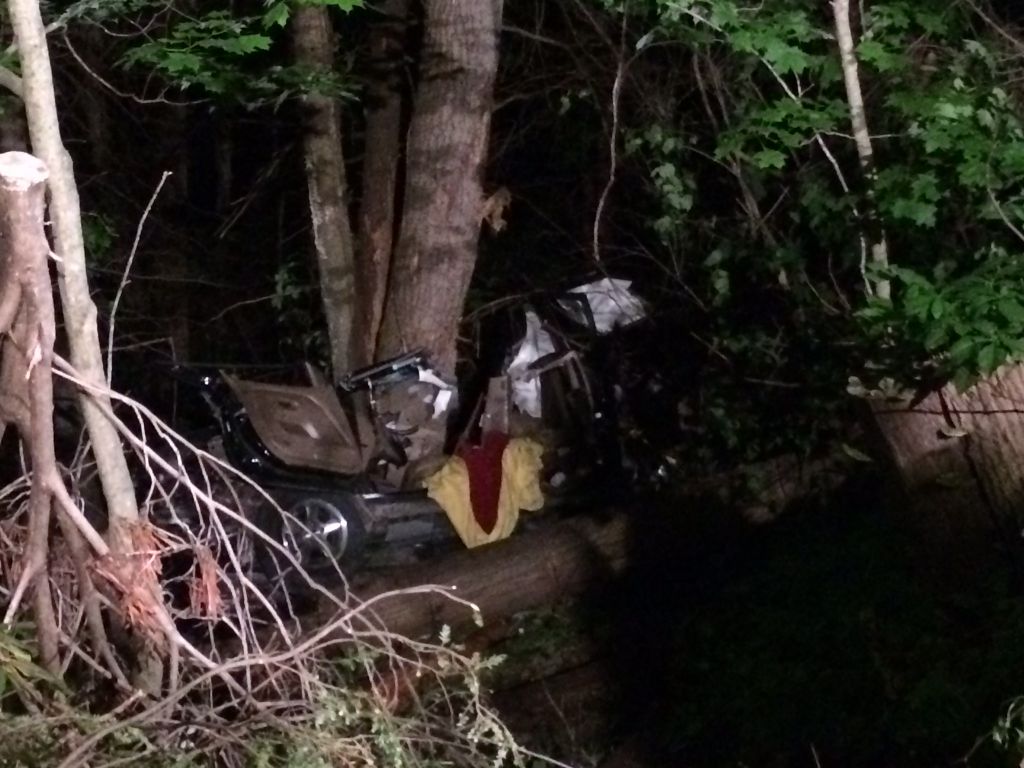 Police chase leads to crash, fatality in Roan Mountain, Tenn. News