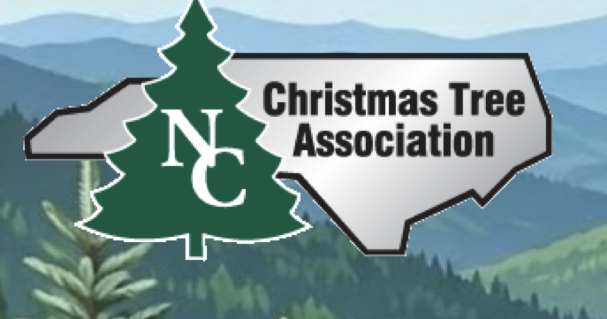NC Christmas tree growers hold summer meeting, farm tour in Avery County