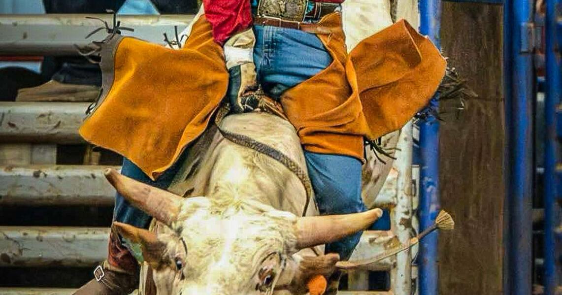Local duo holds tight to professional bull riding ambitions | Community ...