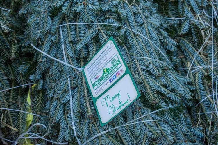 Local Christmas tree growers donate to Trees for Troops | Community ...
