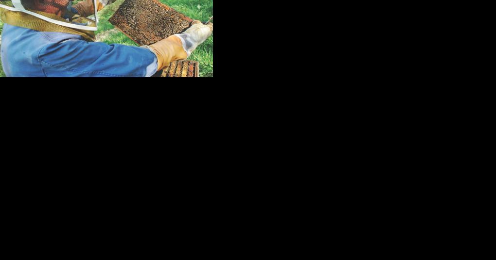 News from Toe Cane Beekeepers Association - Vimarsana News