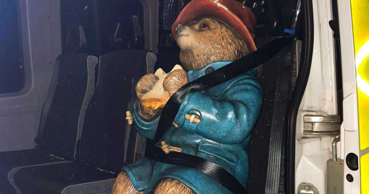 How Paddington Bear ended up in the back of a police van