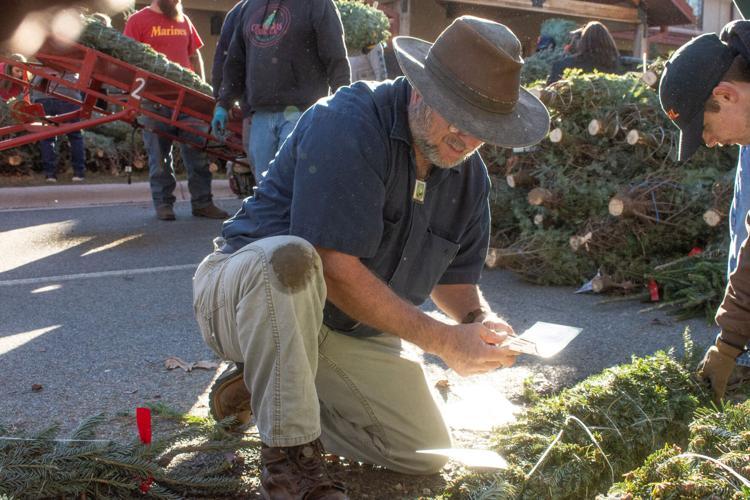 Local Christmas tree growers donate to Trees for Troops | Community ...