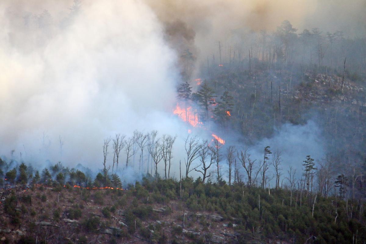 White Creek Fire burning in Linville Wilderness Area News