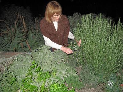Banner Elk Herb Festival May 28 And 29 Community Averyjournal Com