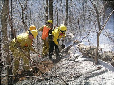 NCFS uses volunteers, information to control wild fires | News ...