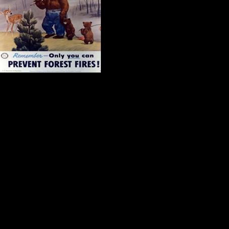 Hydrologist describes local impact of U.S. Forest Service cuts