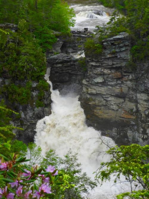 Linville Falls swells