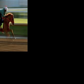 The Puma out of Kentucky Derby, leaving 19 starters