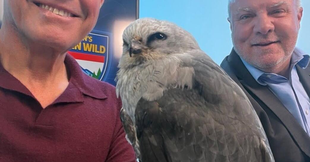 Local premiere showcases nature conservation with Jeff Corwin