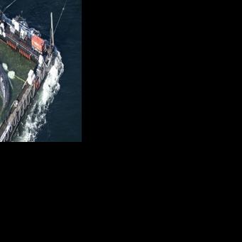 Stranded whale 'Timmy' released into North Sea in dramatic rescue