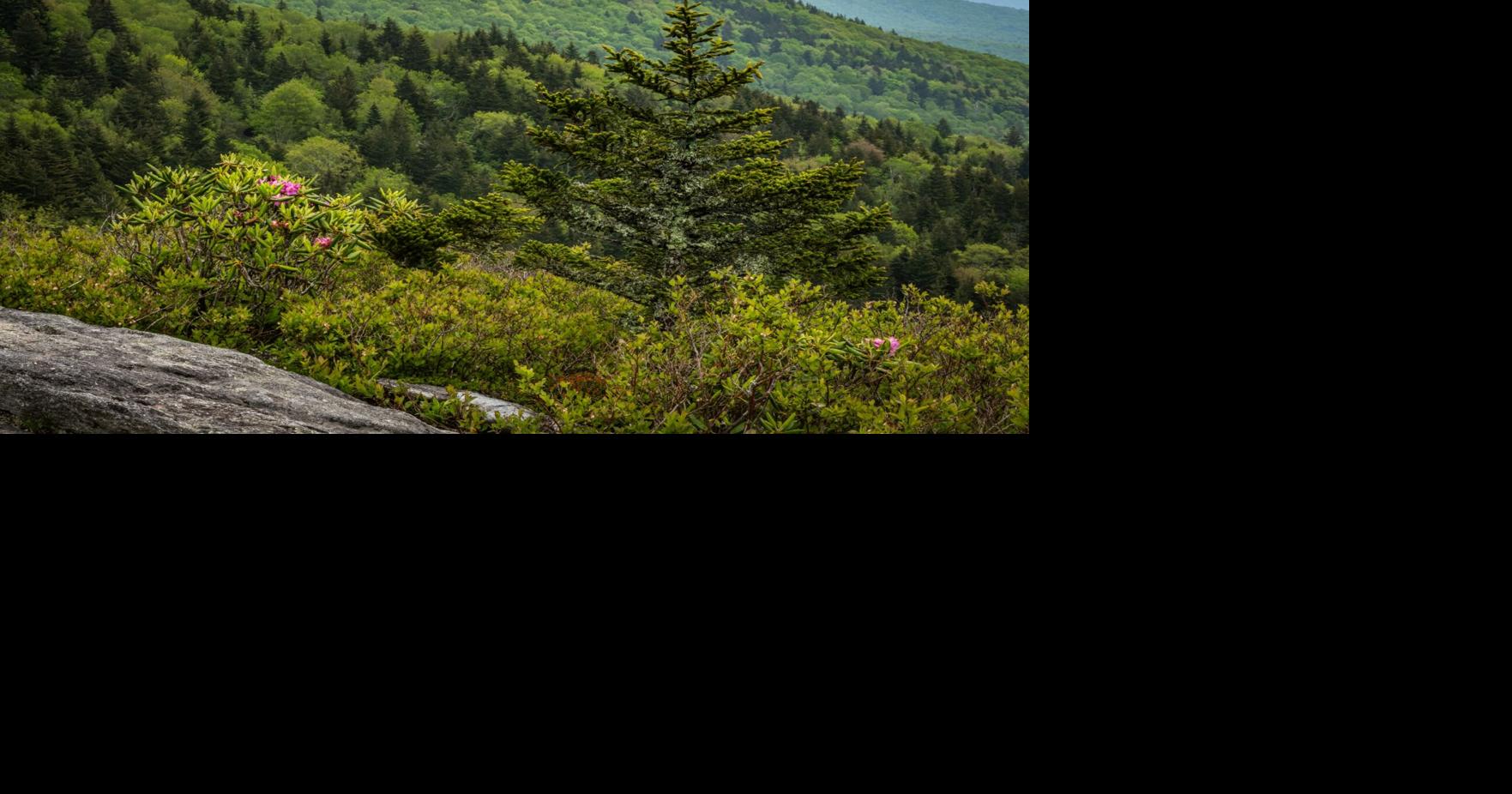 Grandfather Mountain announces Mindfulness and Well-being Series for 2026