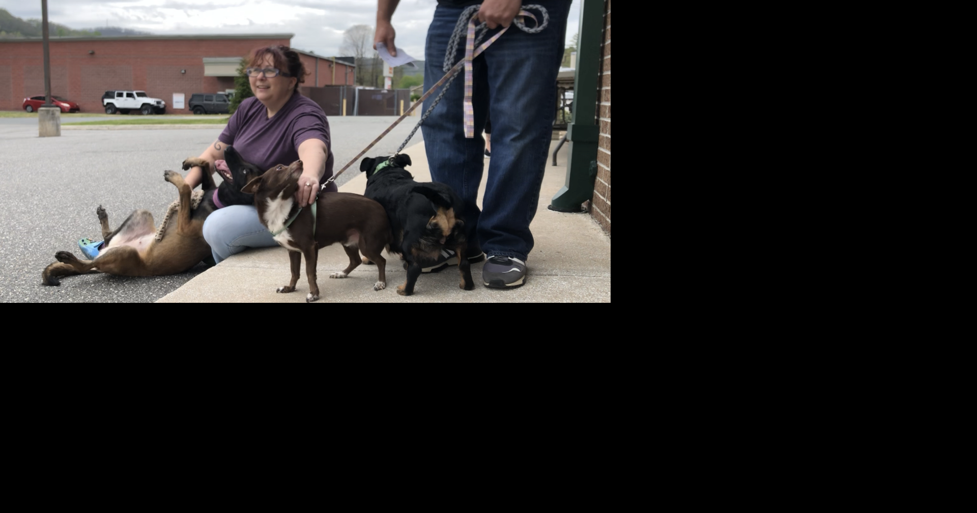 Free veterinary clinics matter in mountain communities facing rural pet care gaps