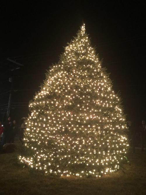 Banner Elk Celebrates Annual Tree Lighting News Averyjournal Com