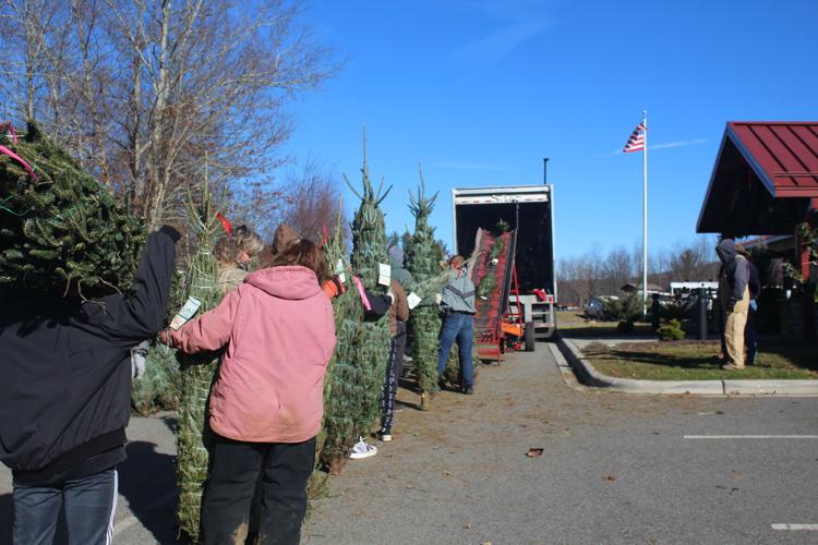 Local farmers donate hundreds of trees to Trees for Troops | Community ...