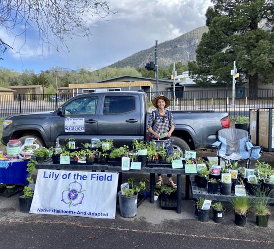 Lily of the Field grows plants perfected to thrive in Flagstaff