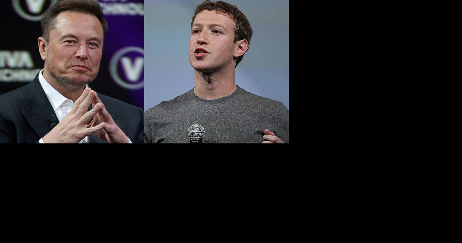 Elon Musk And Mark Zuckerberg Agree To Hold Cage Fight