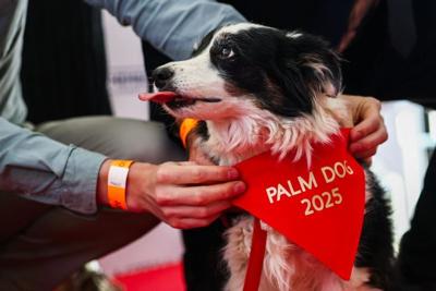 The 78th Cannes Film Festival - The Palm Dog Award