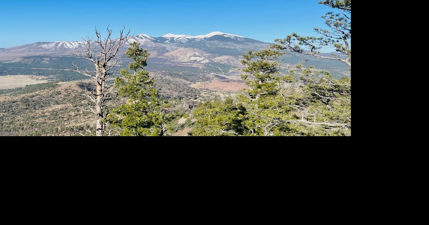 HIGH COUNTRY RUNNING: Running O’Leary Peak for fun and fitness