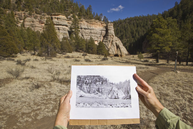 Walnut Canyon Full Of History Recreation Azdailysun Com