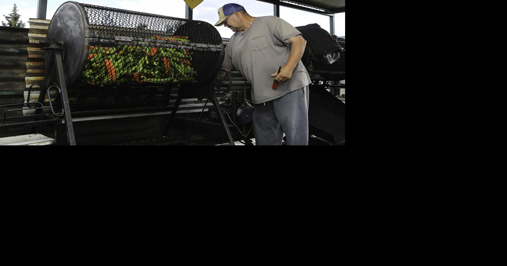 Gallery Popular peppers in Flagstaff Local News