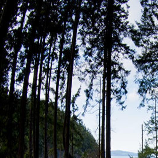 Public Comment Open For Ten X Campground Fee Increase News Azdailysun Com