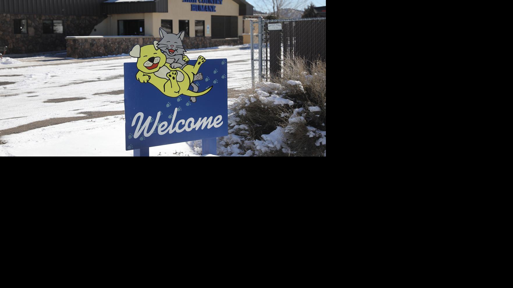 Coconino Humane says future remains strong; High Country sees animal total rise