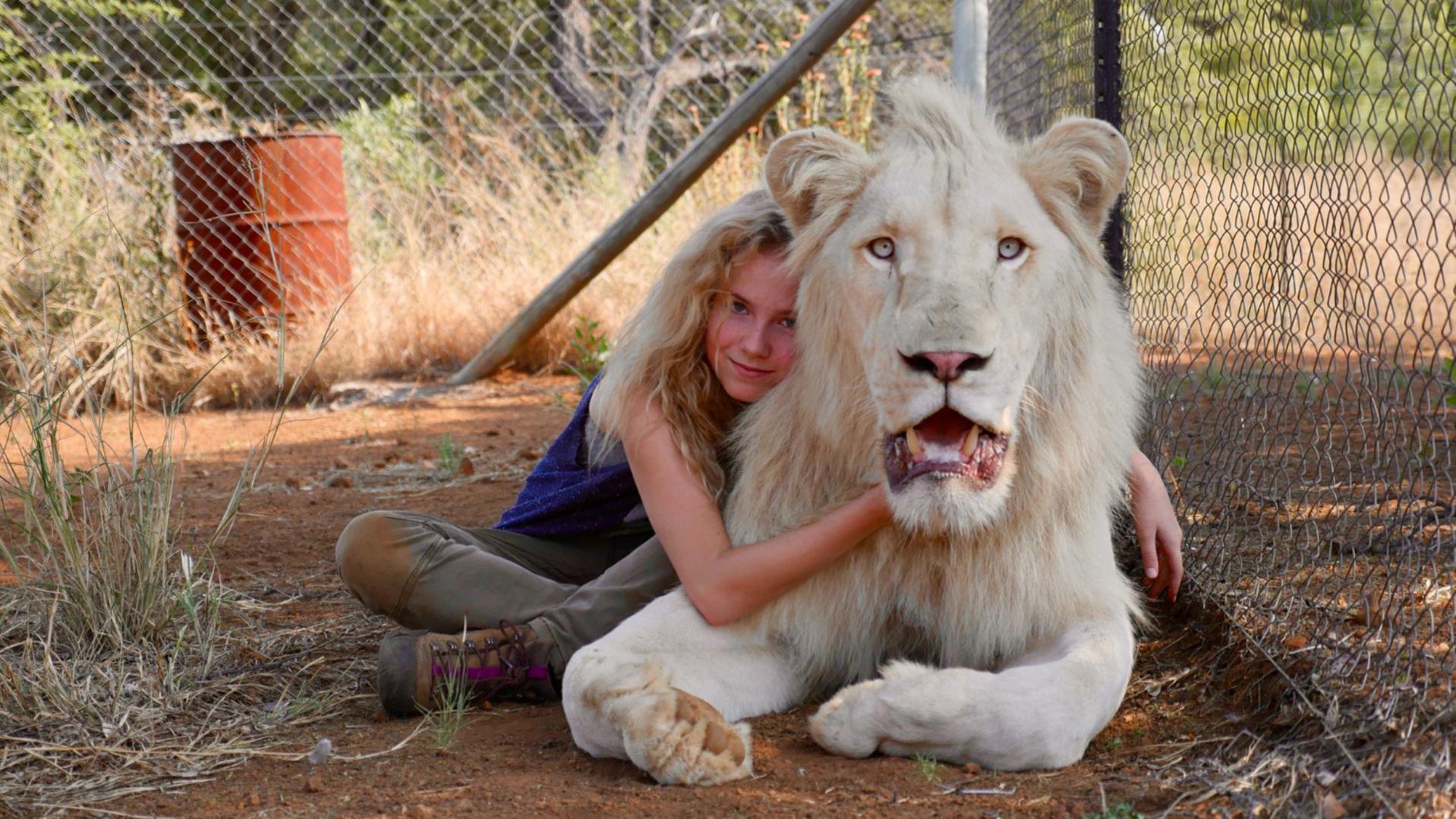 Mia And The White Lion Naturally Powerful Azdailysun Com