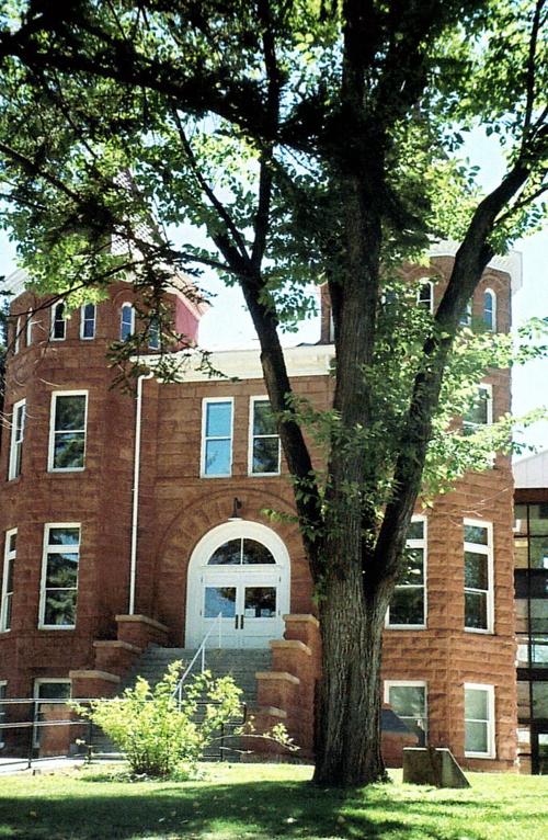Gardening Etcetera: Joyful 90th to Flagstaff’s George Washington Elm | Native