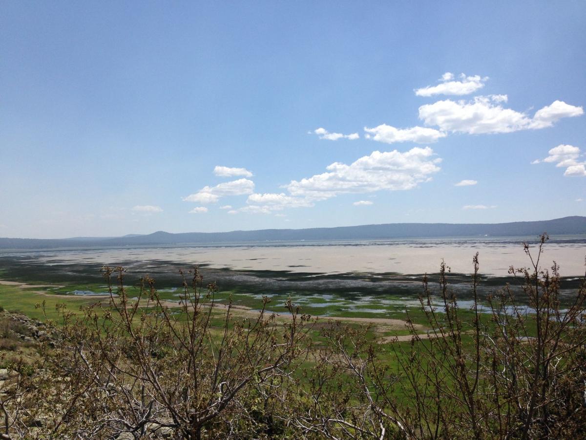 Mormon Lake is on the rise Local