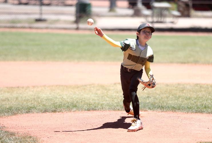 Little League Playoffs