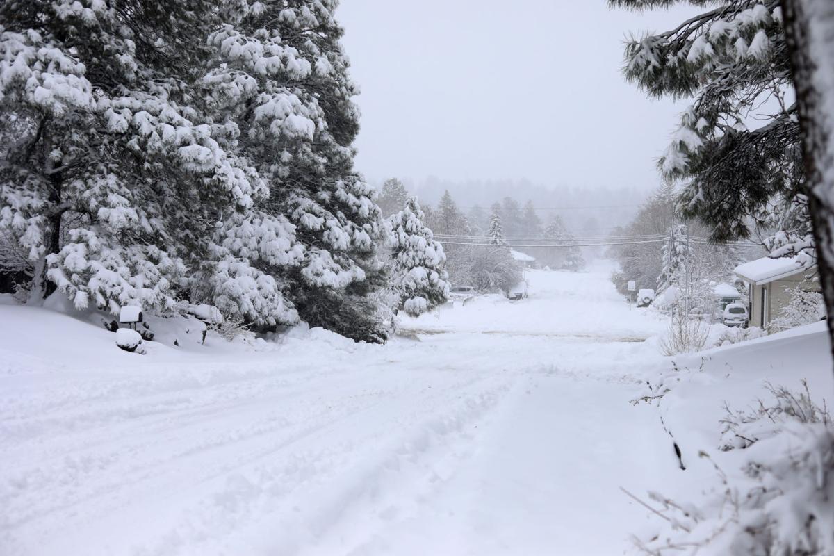 Storm Brings More Than A Foot Of Snow To Flagstaff Snarls Traffic In Region Weather Azdailysun Com Grand canyon national park, arizoan, usa. storm brings more than a foot of snow