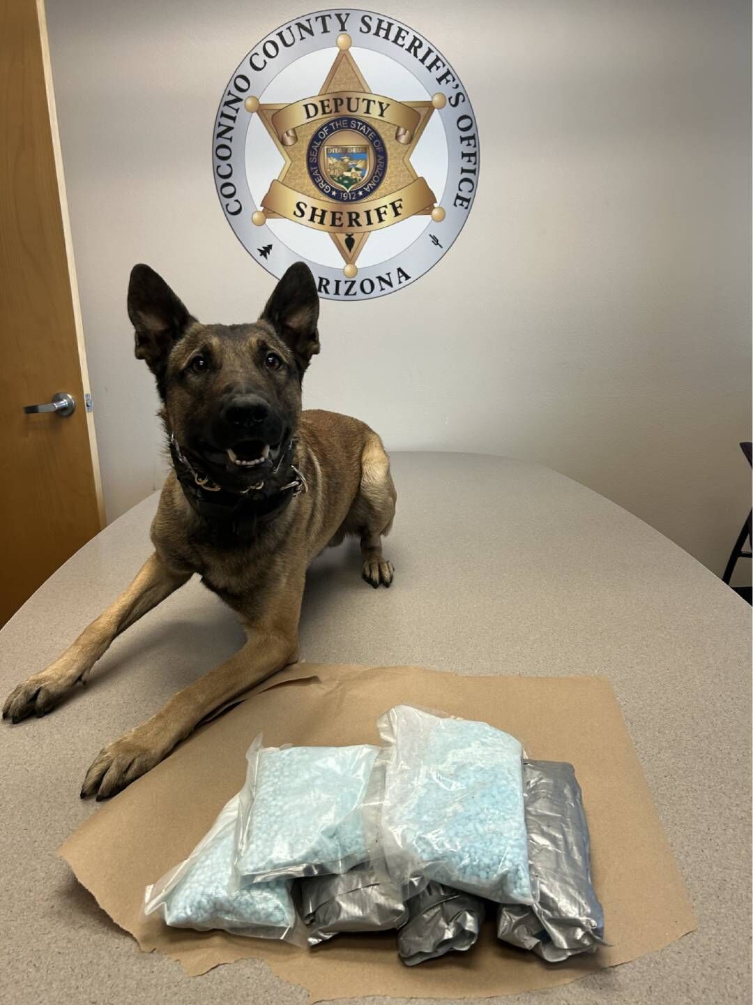 Coconino County Sheriff's Office seizes fentanyl pills during traffic ...