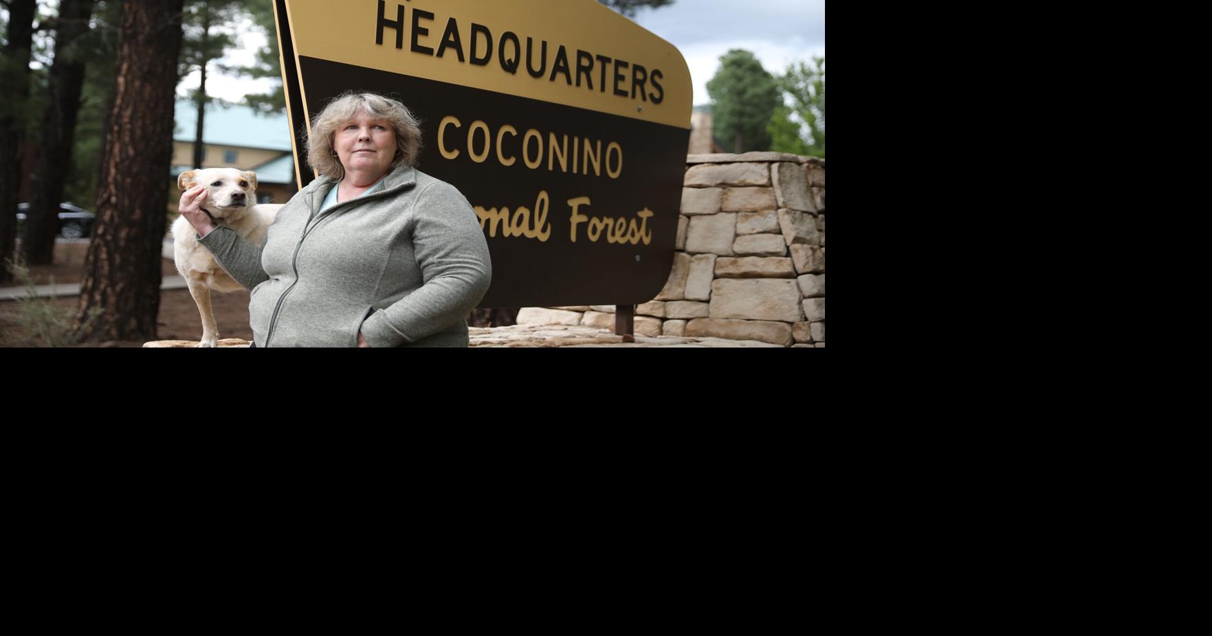 ‘My integrity or my job’: This northern Arizona national forest ...