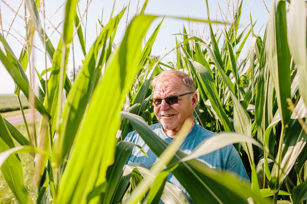 Janie's Farm - Harold