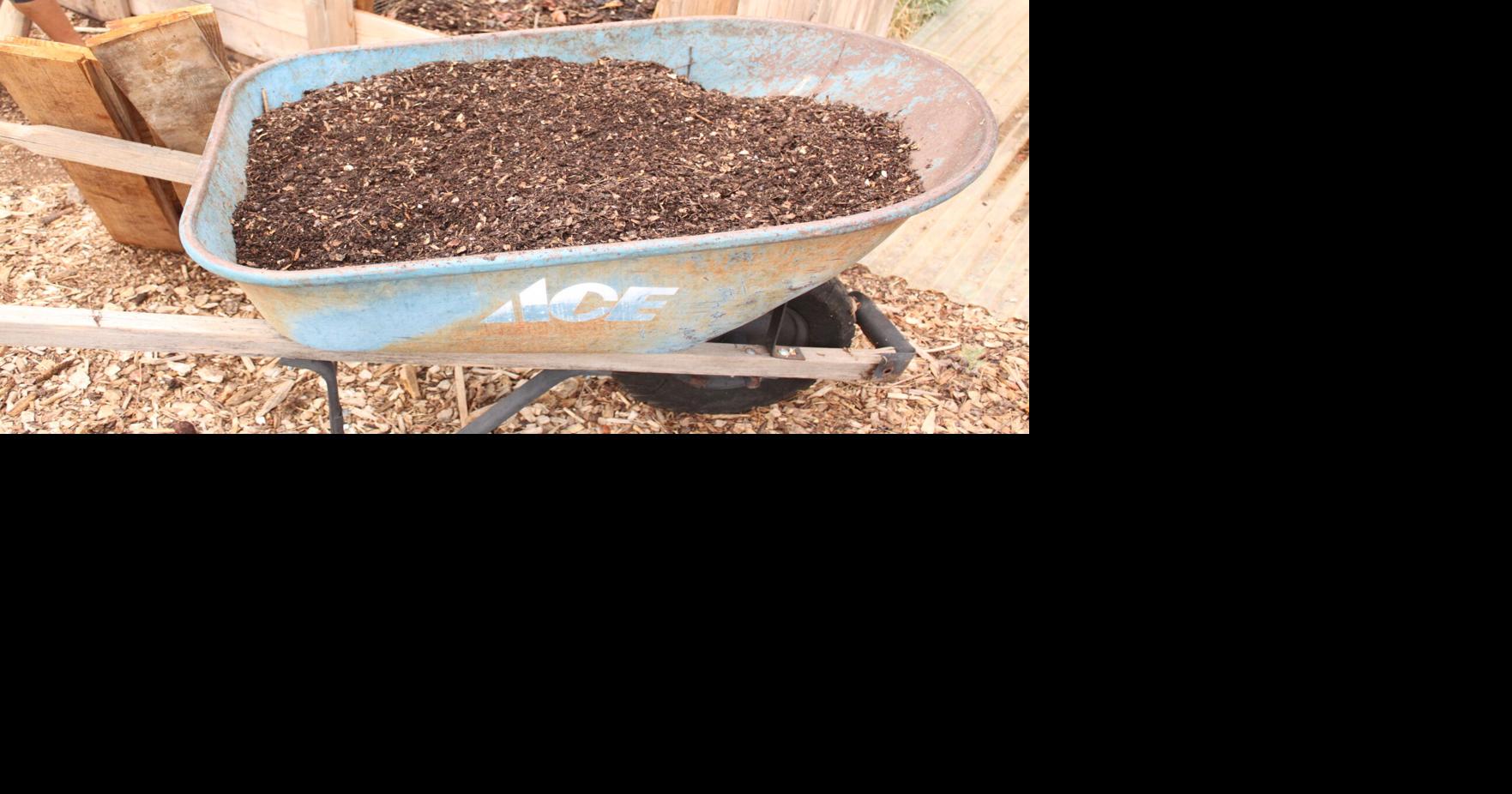 Gardening Etcetera: Lessons I learned from the 2023 Master Gardeners' Garden Tour