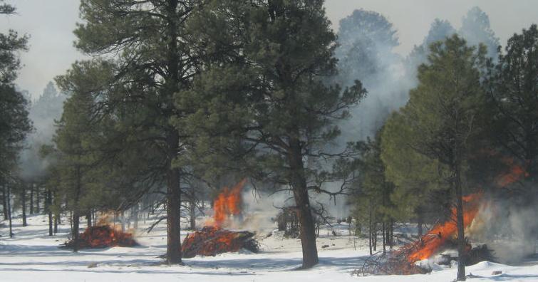 Coconino National Forest to conduct pile burns this week
