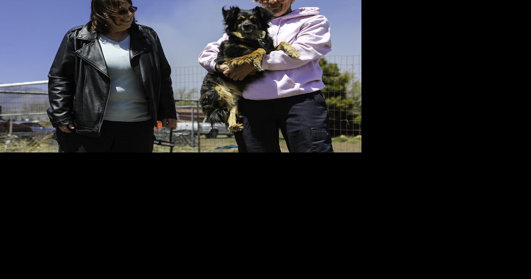 Meet the Tunnel Fire’s animal rescuers | Local